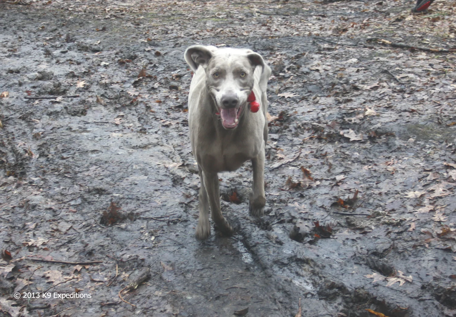 Kobe's Happy Face.jpg