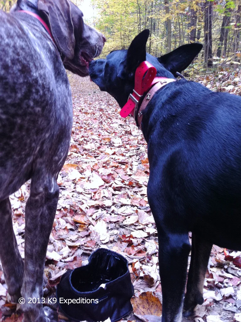 Kissing.jpg