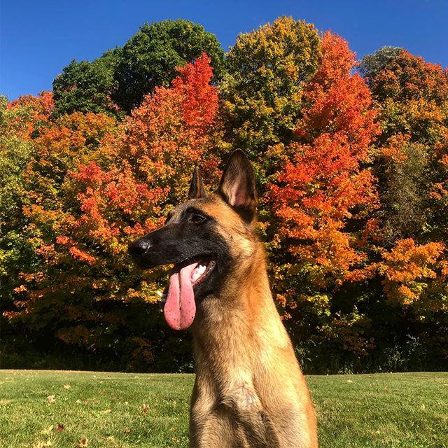 Happy Thanksgiving to you all! I am thankful for the support you all provide when times are difficult. Grateful for the messages and phone calls I get from you because it tells me you trust my advice. And most importantly, I appreciate the effort you