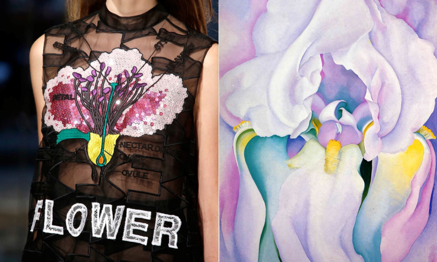 Kane's organza and embroidered-sequined top on the left and Georgia O'Keeffe's orchid on the right