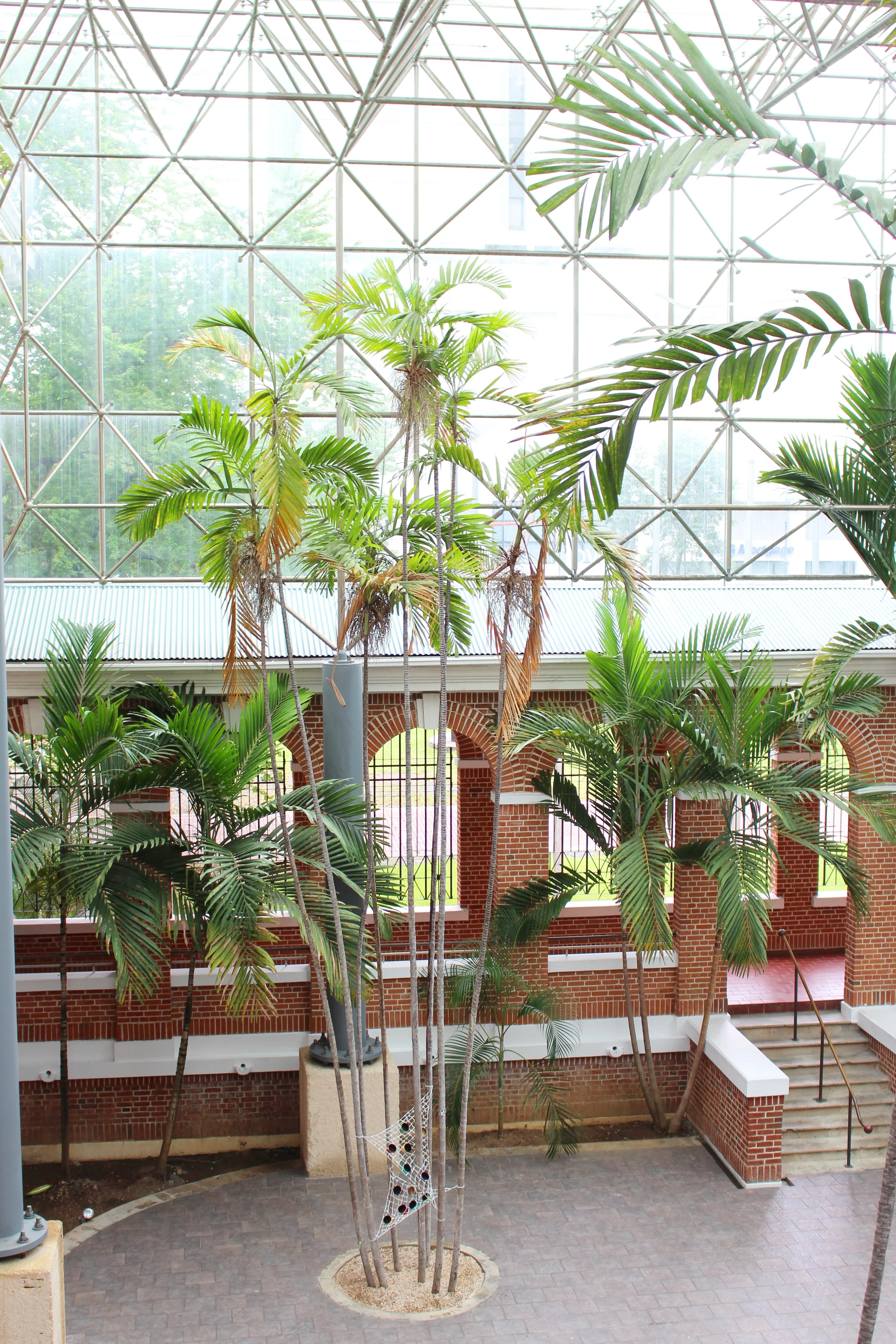 The internal patio of the Museum of Contemporary Art