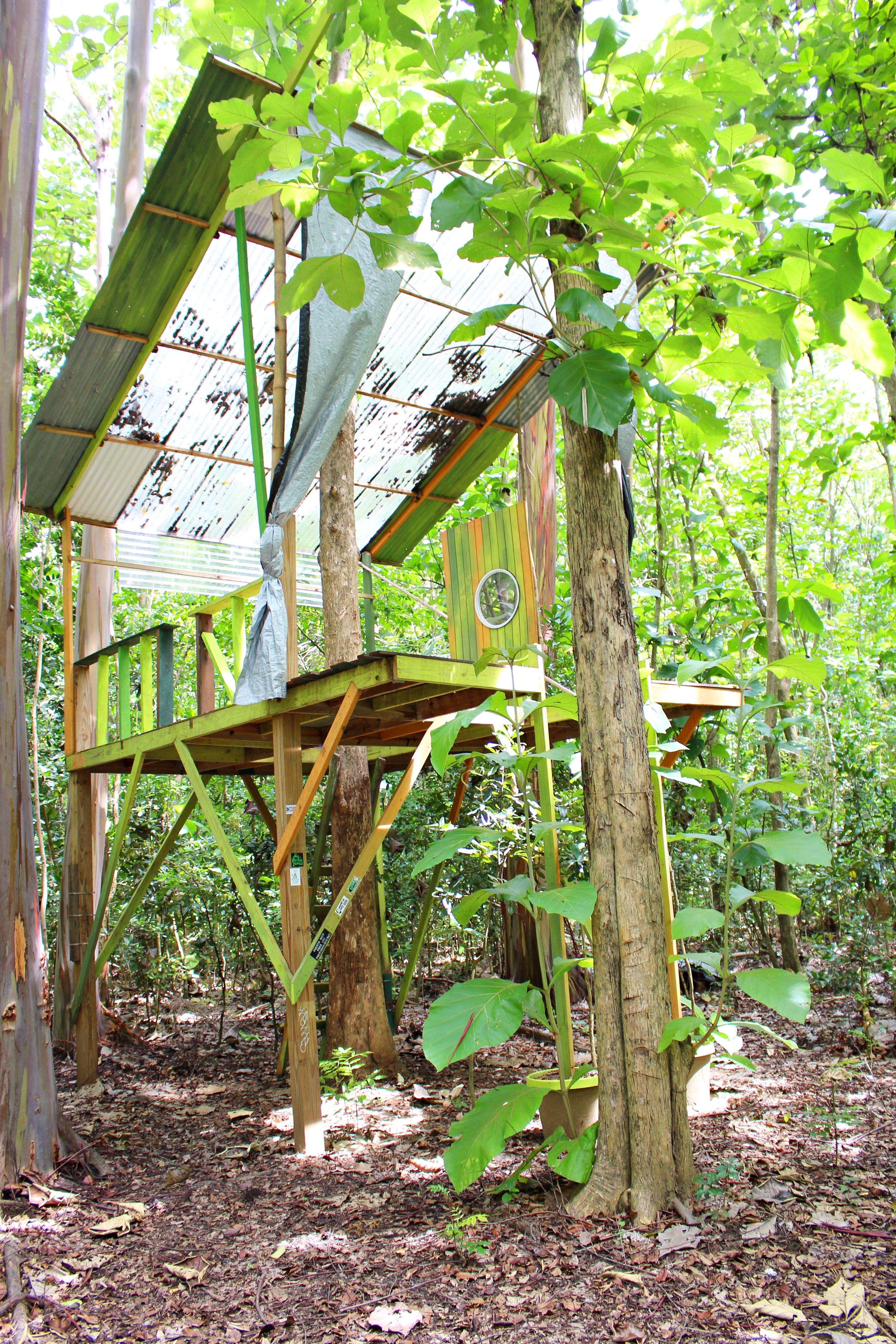 The treehouse in Naguabo built by contemporary artist Juni Figueroa