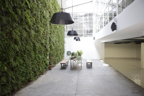 ProyectosMonclova in Colonia Roma 