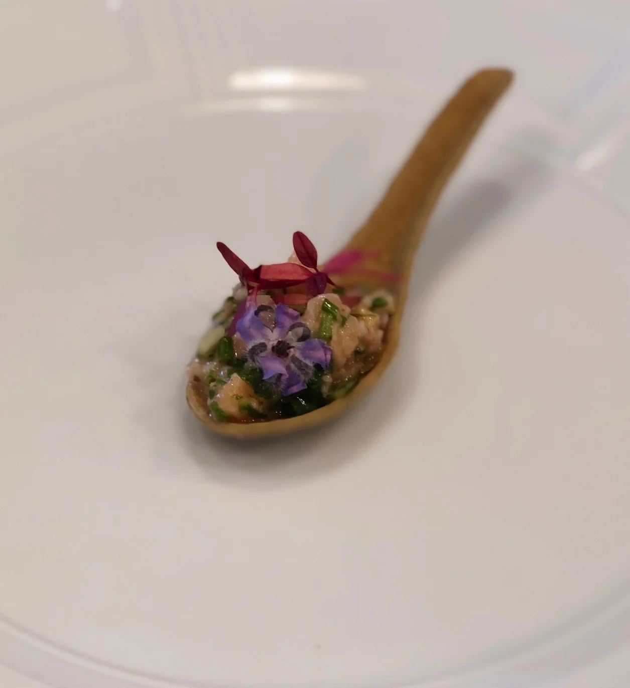 edible spoon 1.jpg