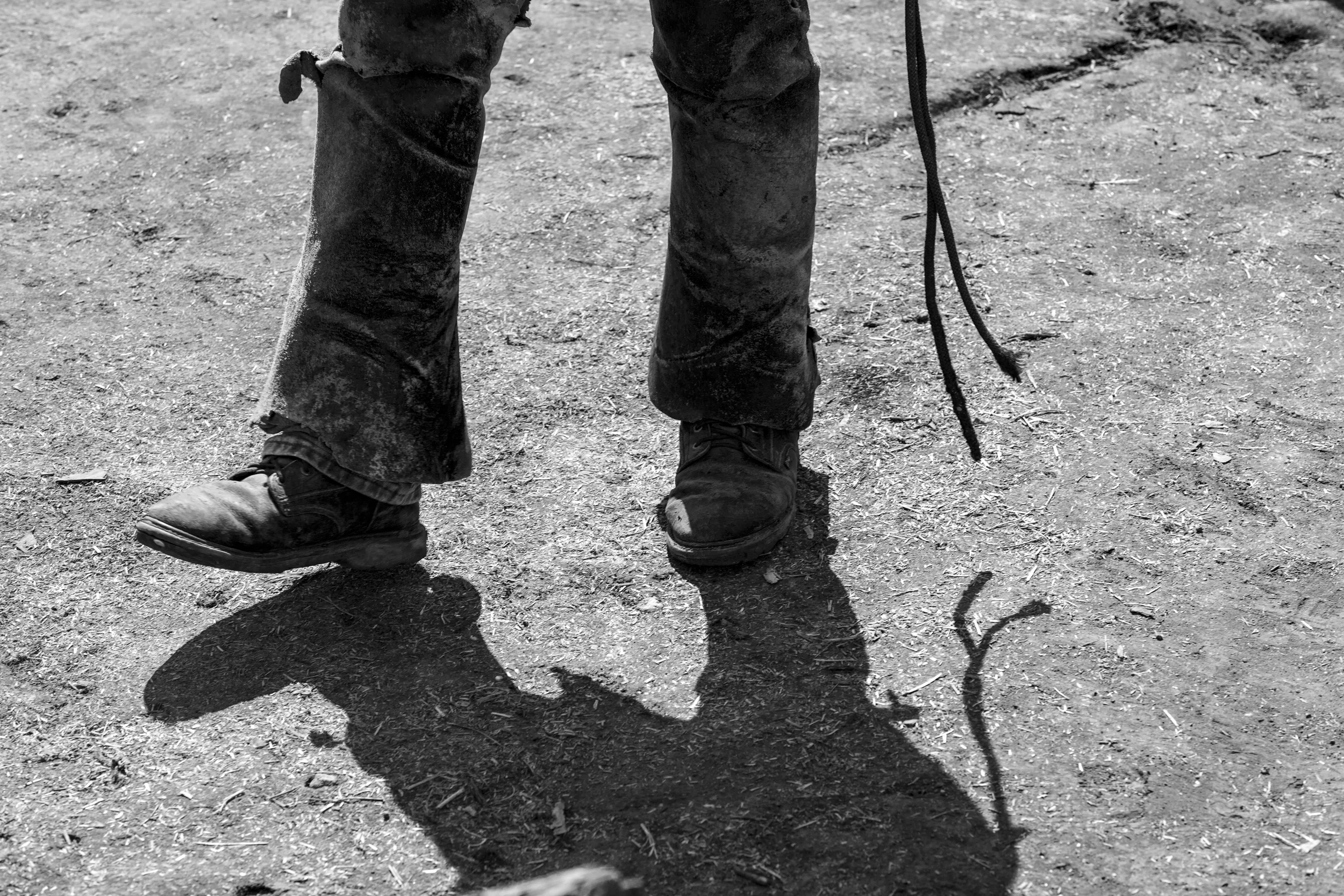 horsecamp-6815-Edit.jpg