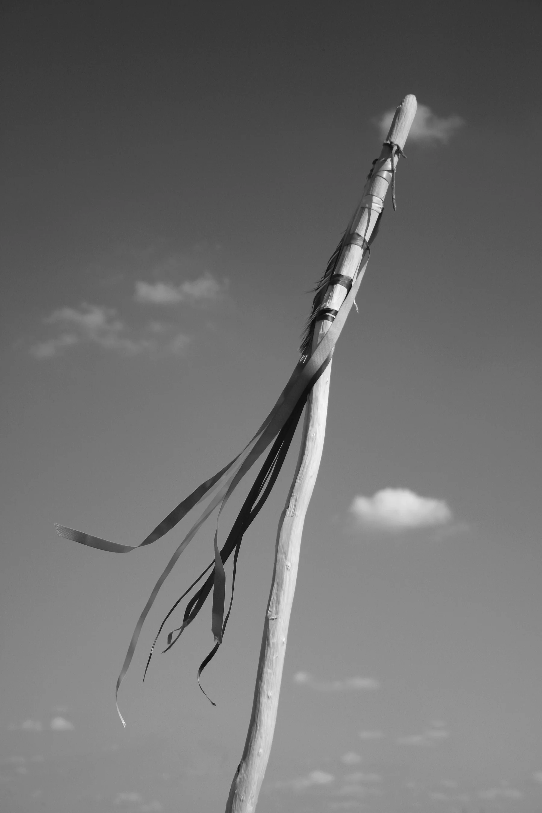 spirit-staff.jpg