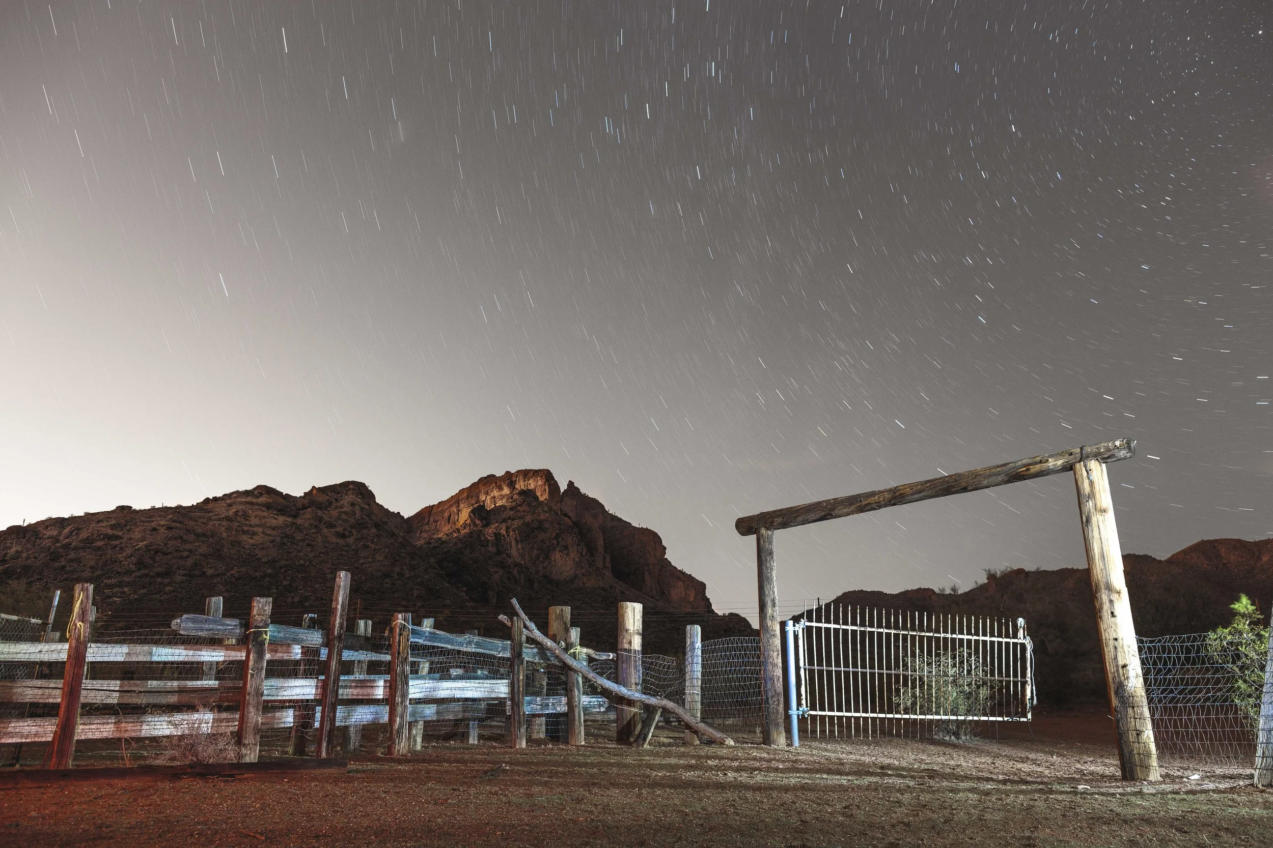 light-corral-1.jpg