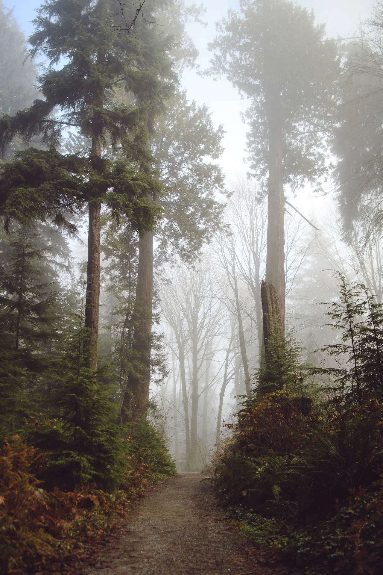 untitled-1136-Edit.jpg