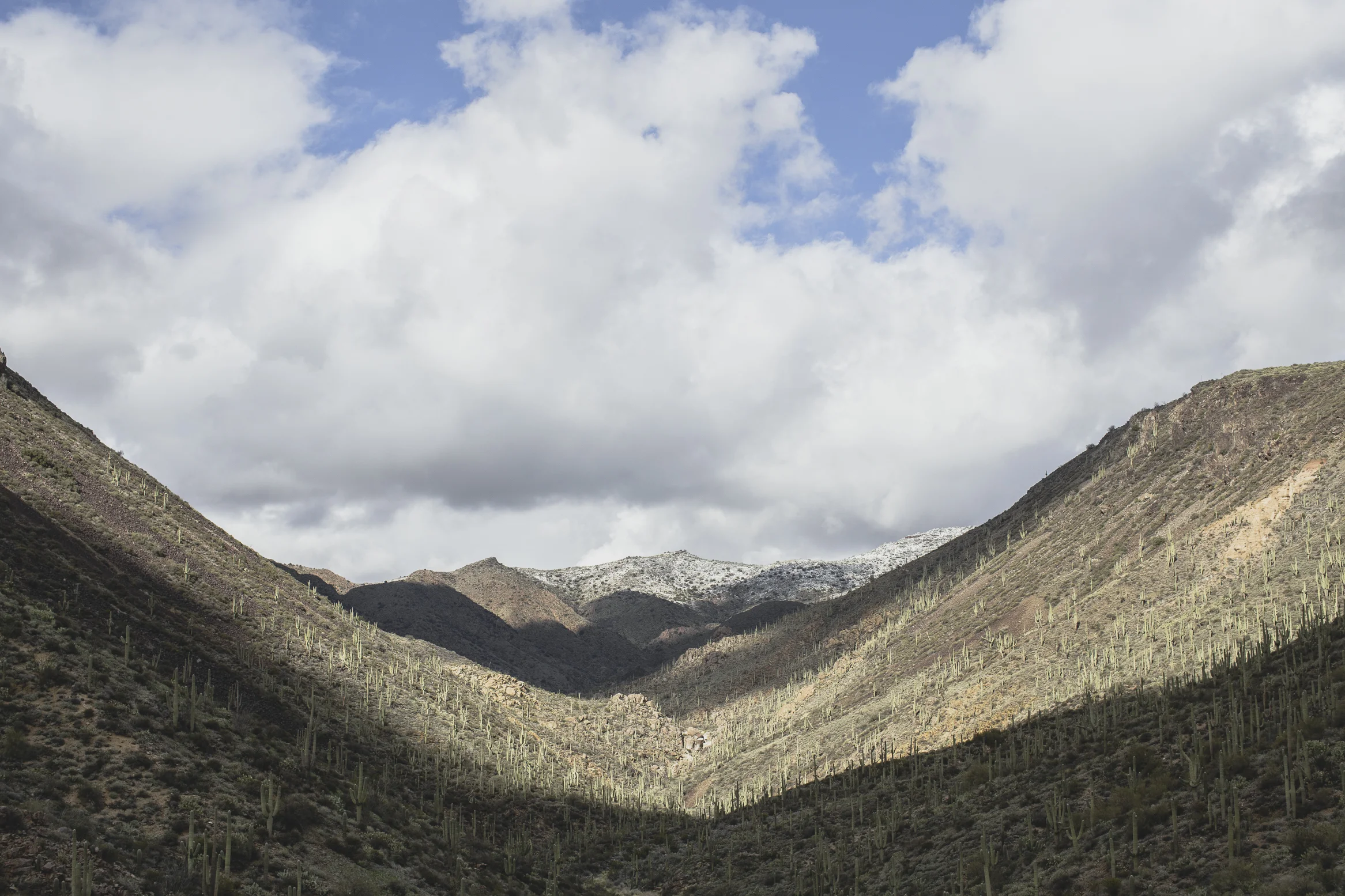 _MG_5453.jpg
