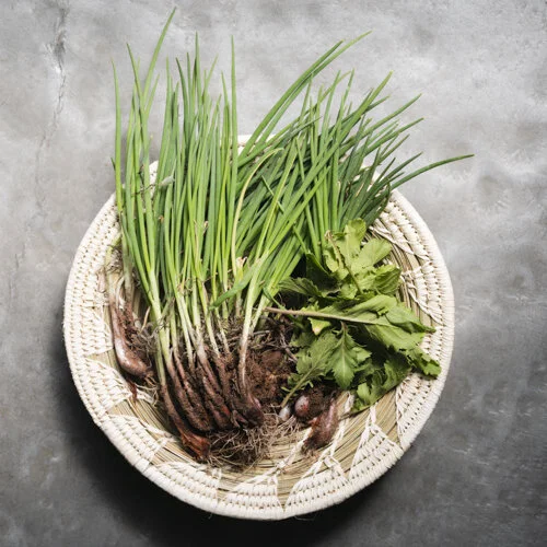 I'Itoi Onions and wild Greens - O'odham food 