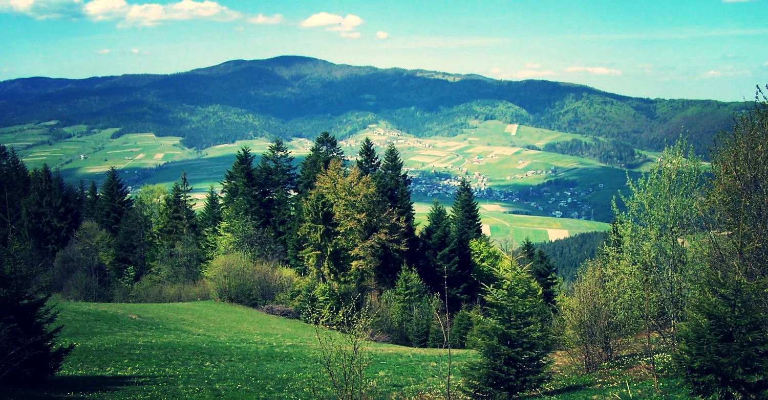 FIVB: 2014 Stare Jabłonki Grand Slam