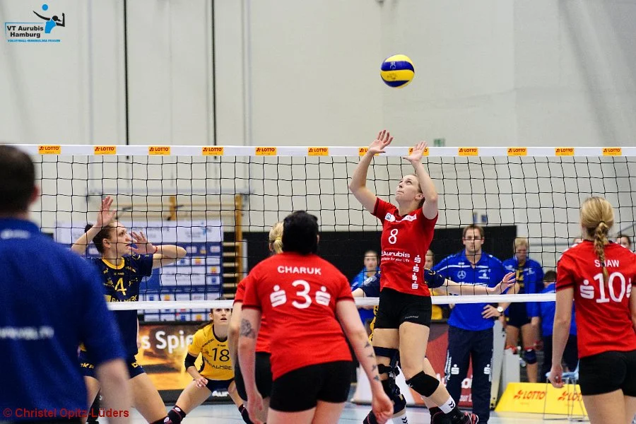 Bundesliga: Hamburg vs. Stuttgart