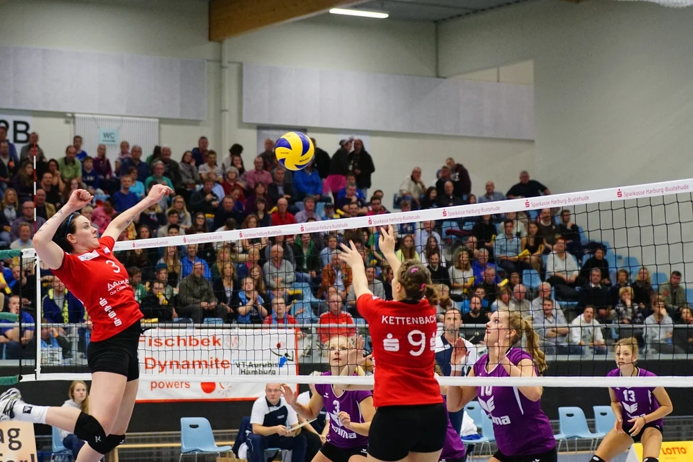 Bundesliga: VT Aurubus Hamburg vs. Volleystars Thüringen
