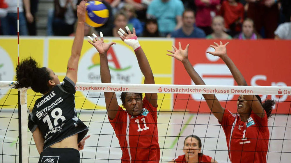 Bundesliga: Dresdner SC vs. MTV Stuttgart