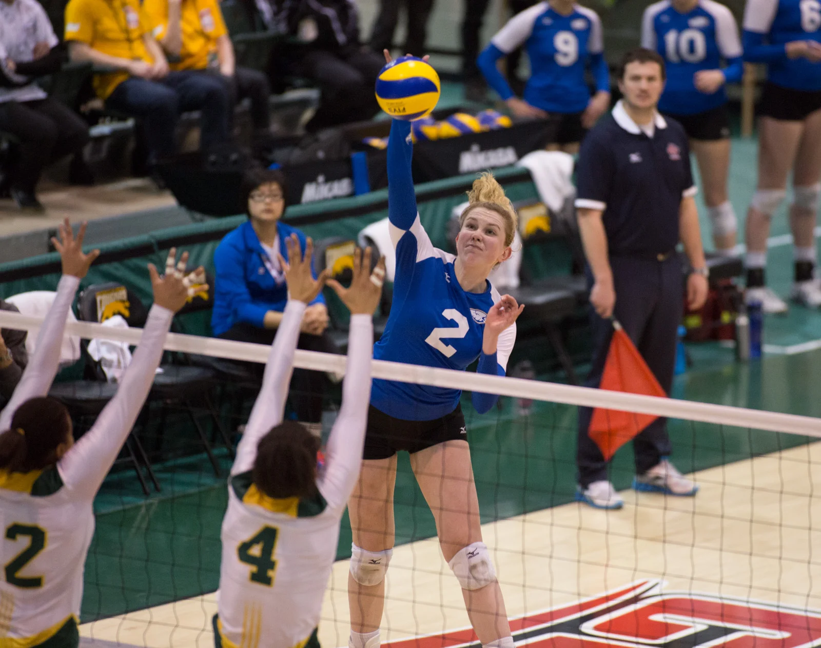 CIS: January 23rd-25th Live Stream Schedule