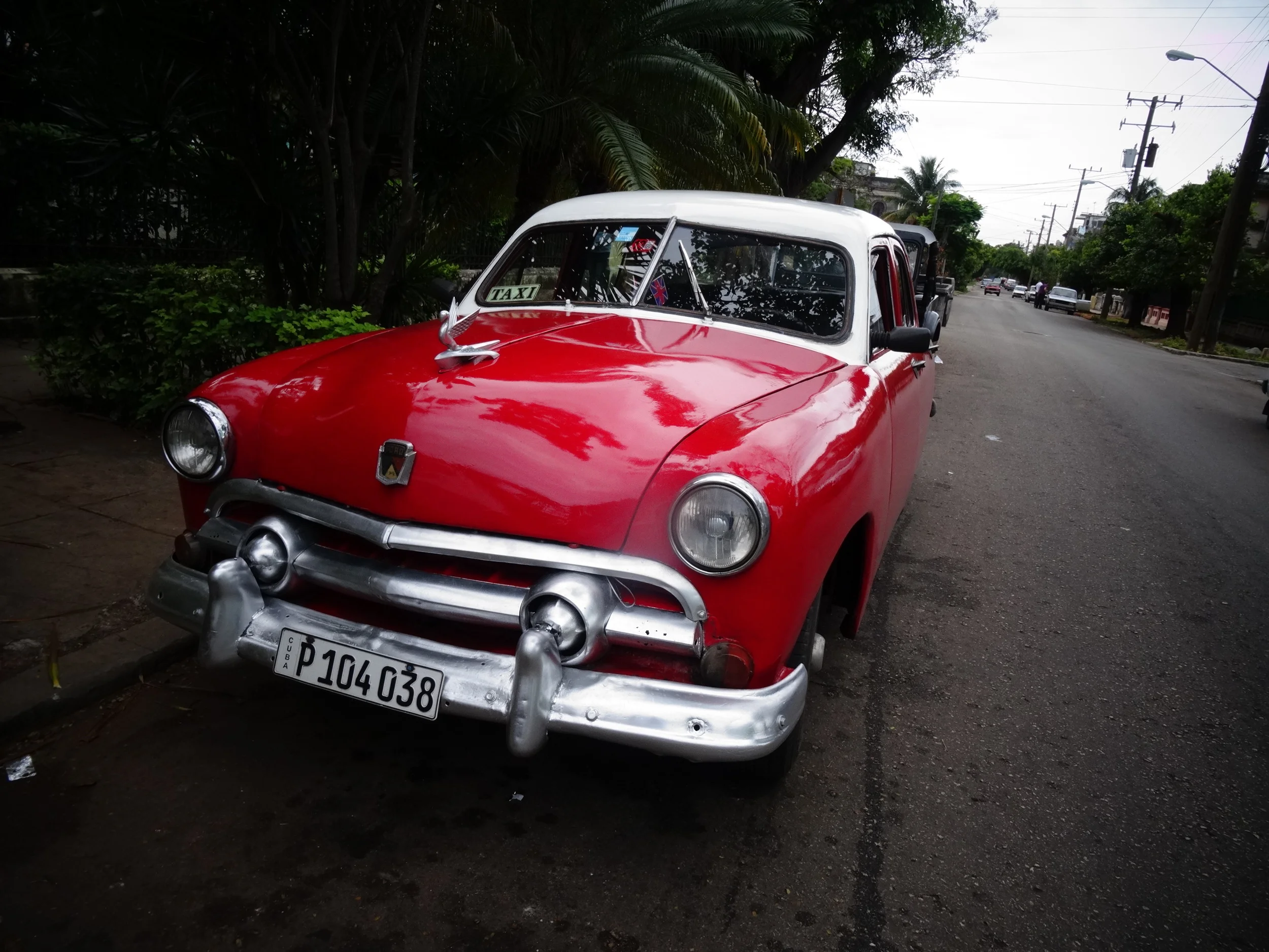 NORCECA: Women's Champions Cup