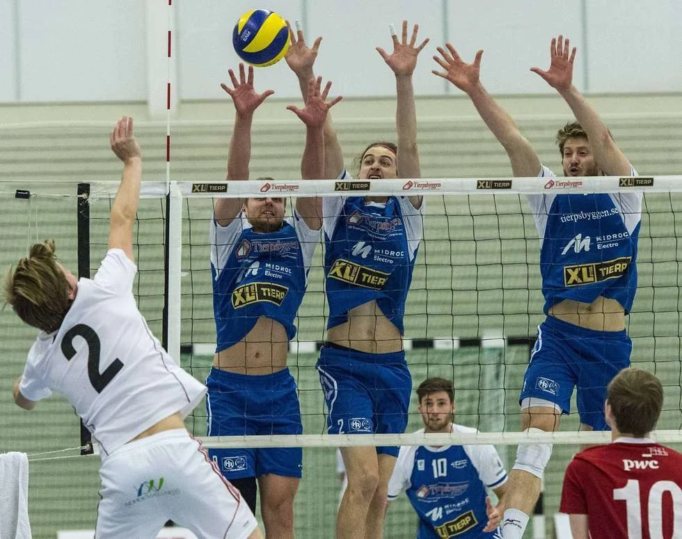 Three Stars of the Week: November 30th - December 6th