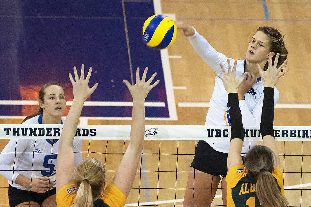 UBC’s Kieran Van Ryk leads the country with 5.8 kills per set, scoring 305 points in just 14 matches so far. Photo: (Rich Lam/UBC Athletics)