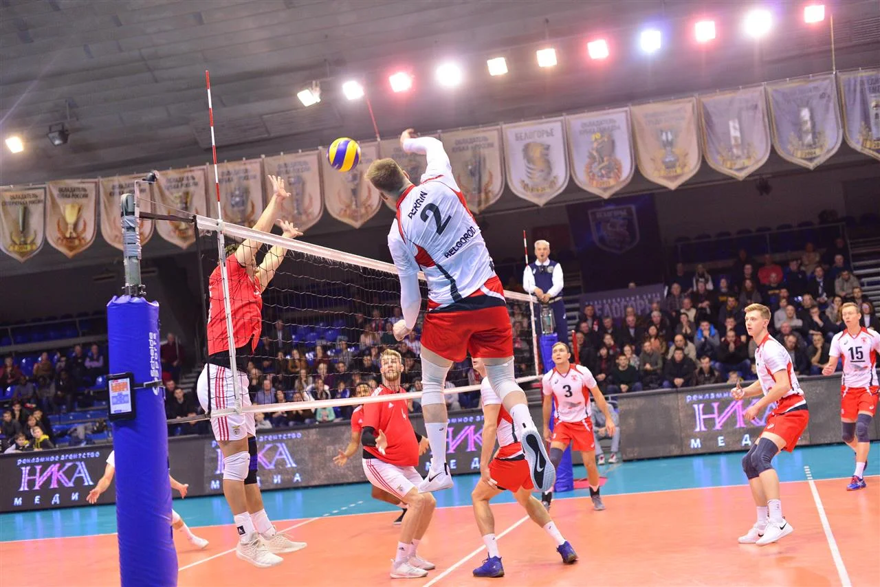 FREE LIVE STREAM: Belogrie Belgorod vs. Benfica | CEV Challenge Cup