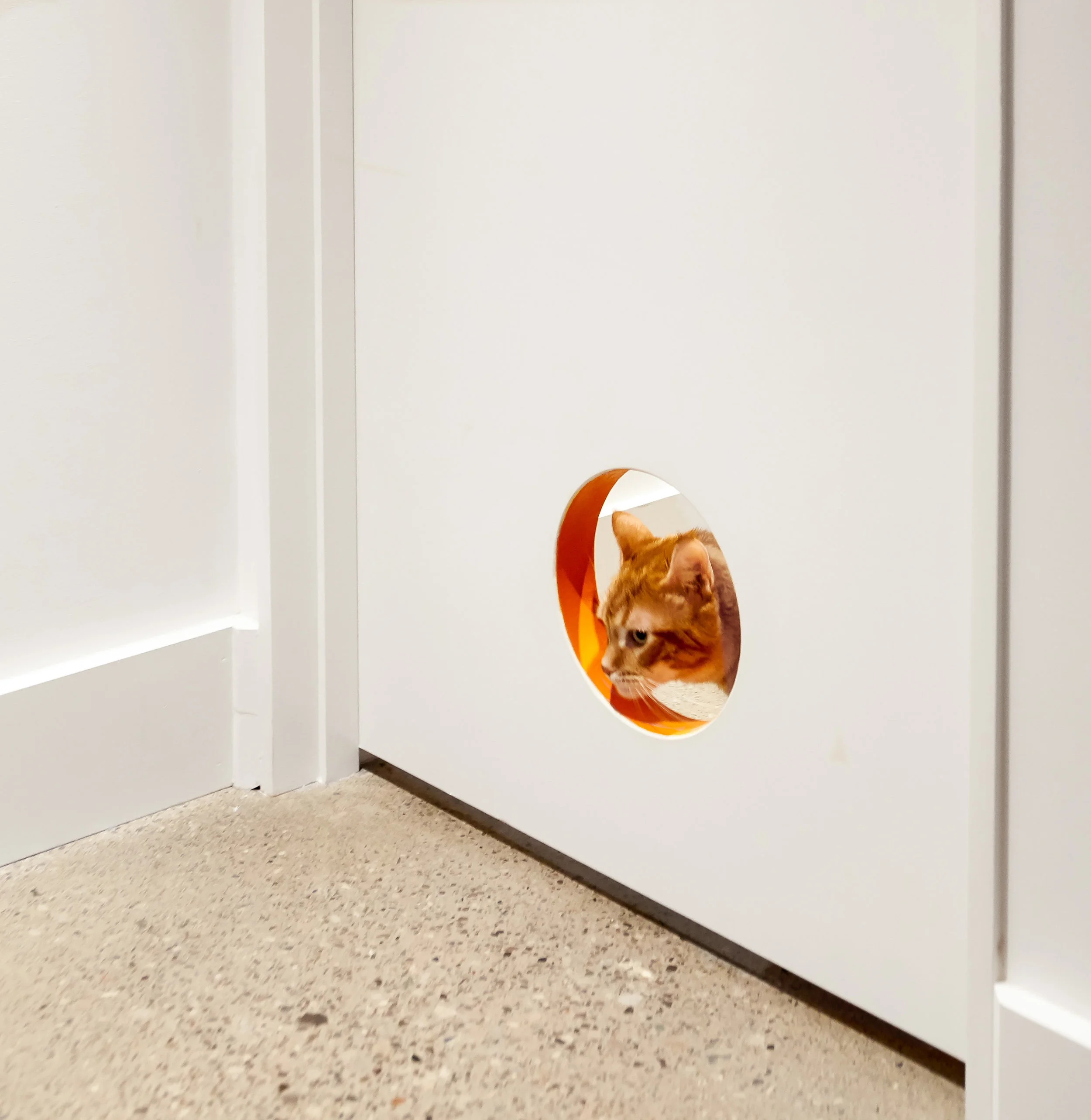 The cat’s litter is tucked discreetly into a closet, marked only by the an orange rimmed circle cut into the door at the perfect height for easy kitty access.