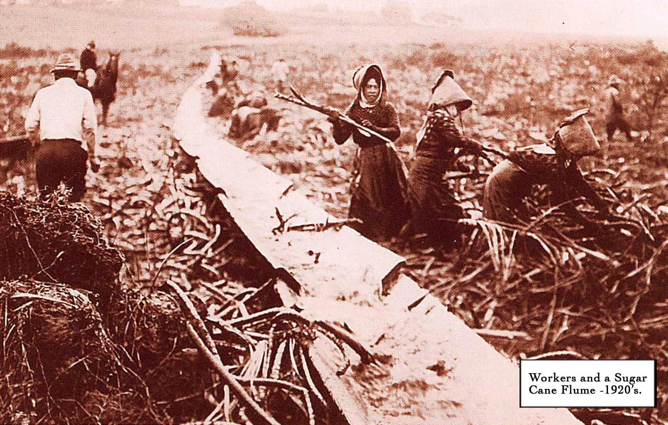 Historical Maui Waikapu