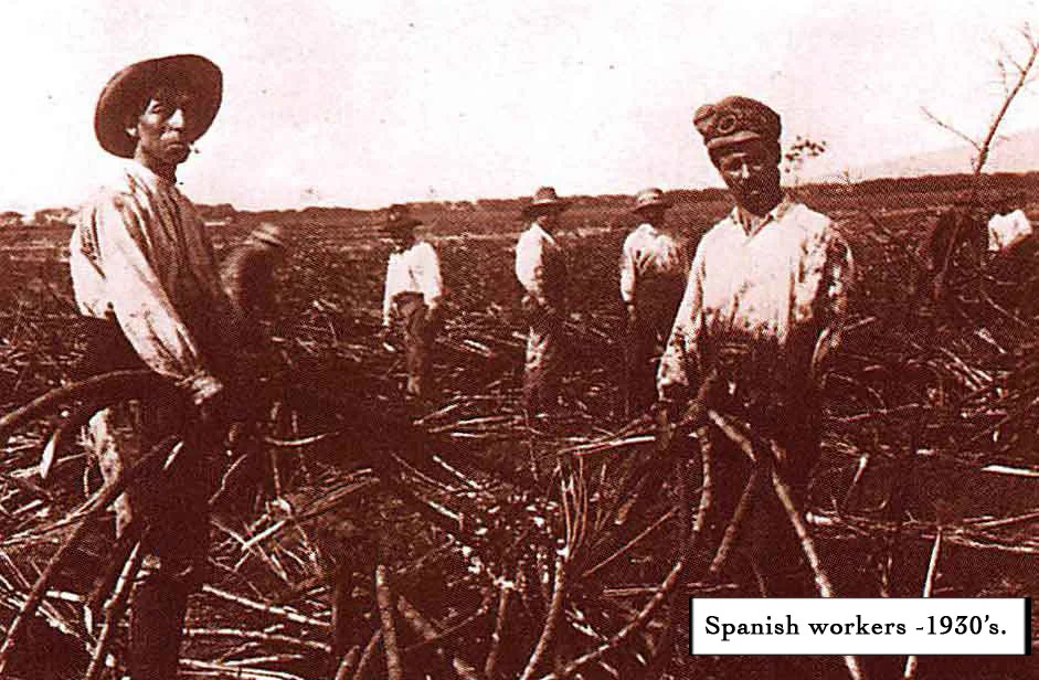 Historical Maui Waikapu