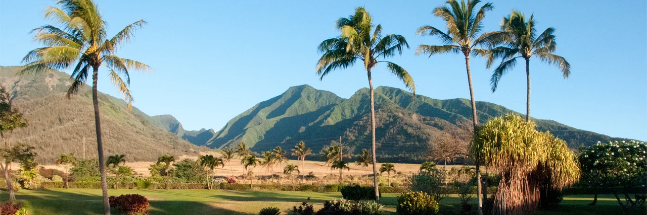 Maui Tropical Plantation Waikapu