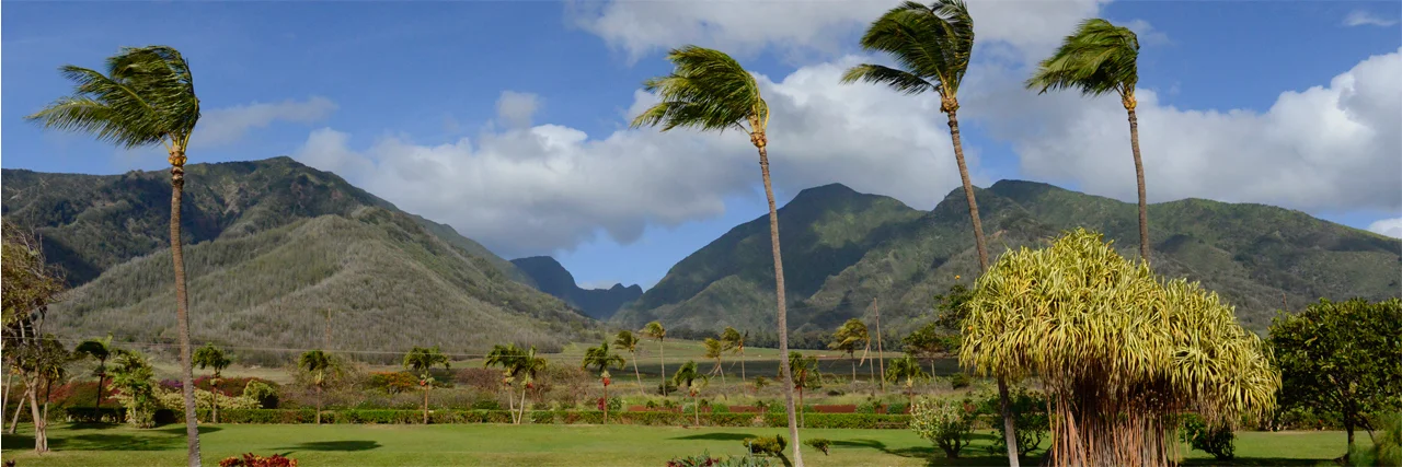 Maui Tropical Plantation Waikapu