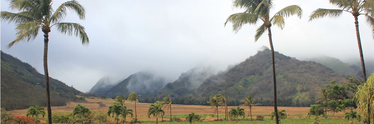 Maui Tropical Plantation Waikapu