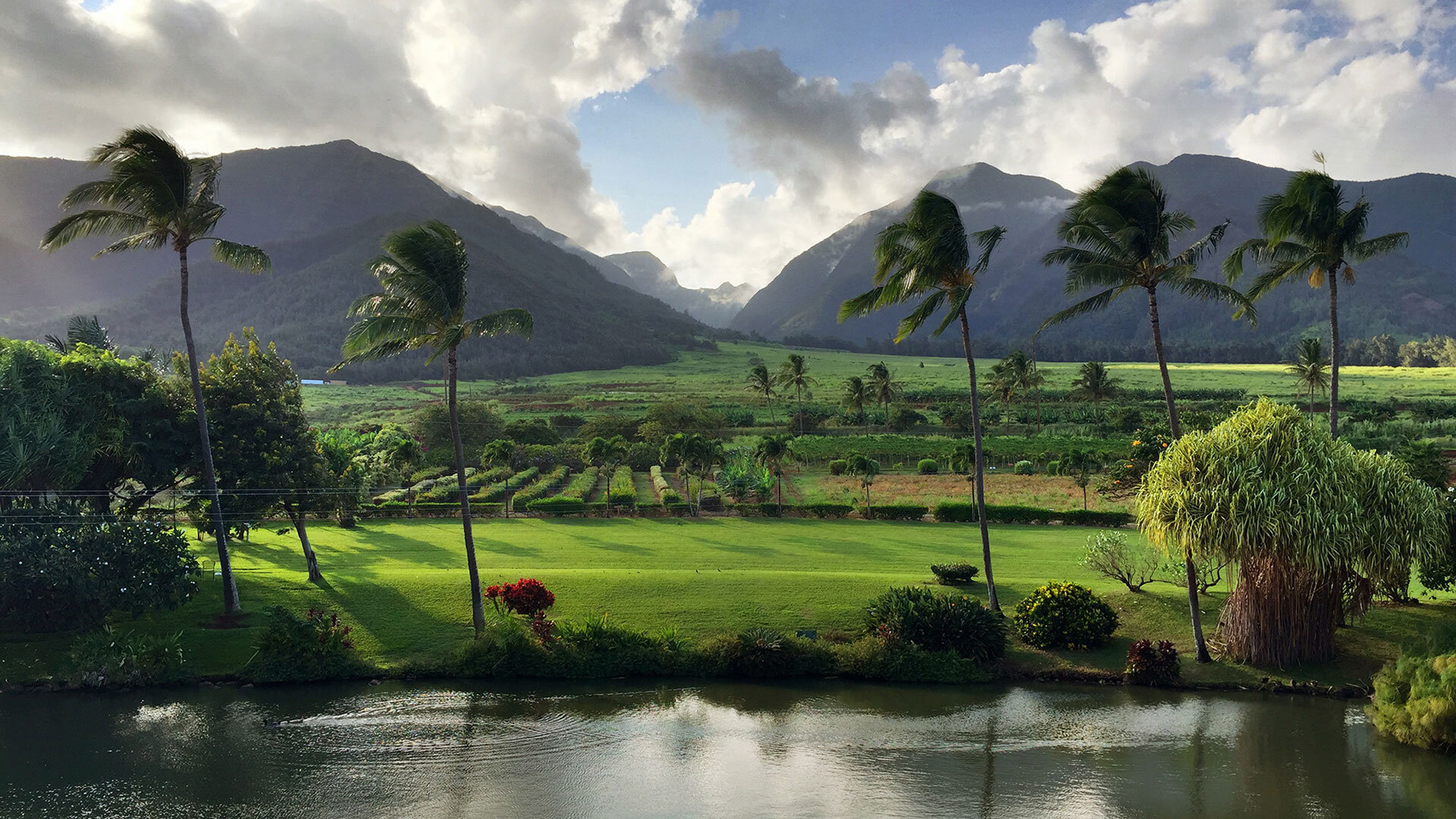 Maui Tropical Plantation | Tour, shop, explore and dine!