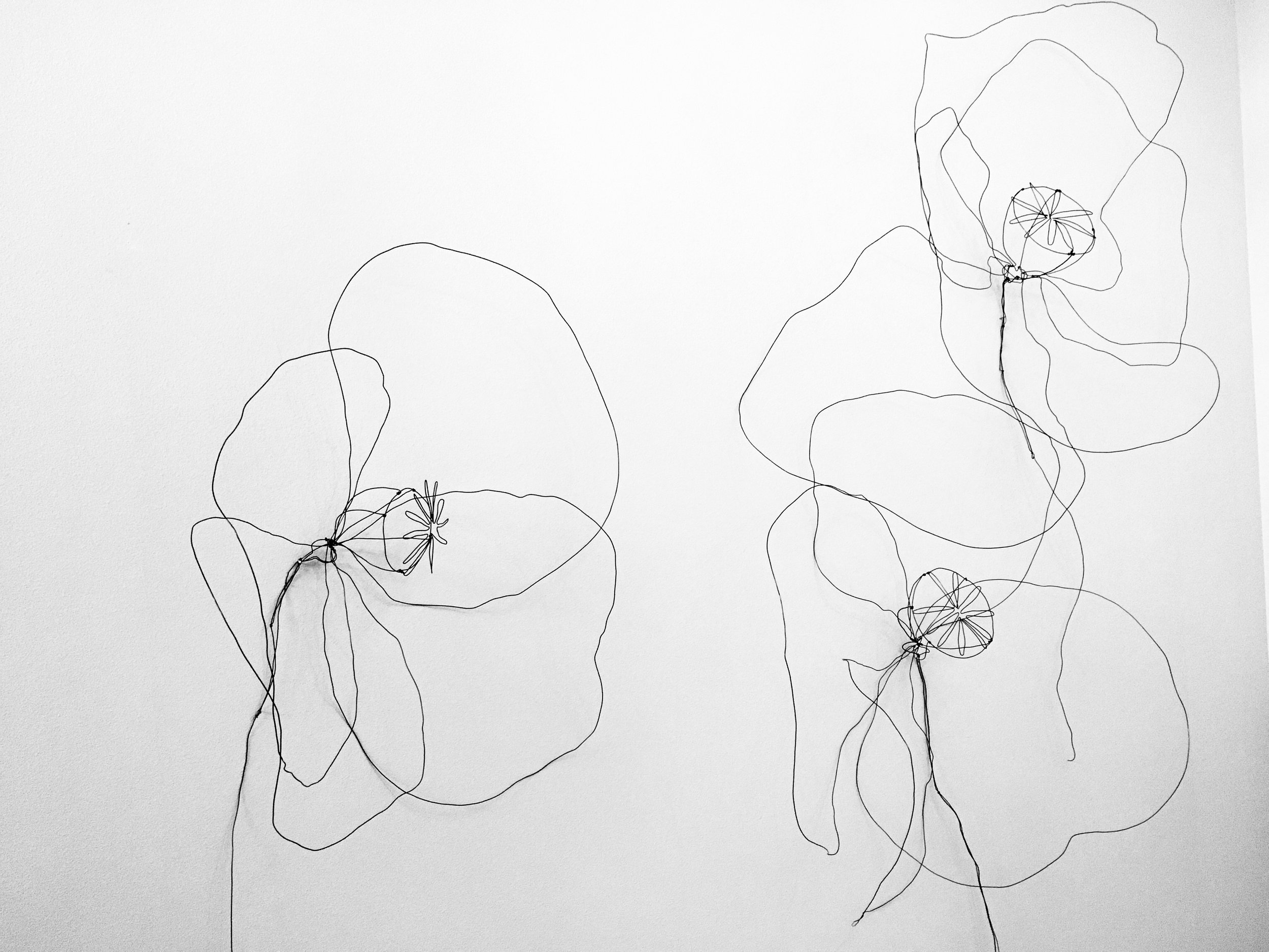 Large Wire Poppies