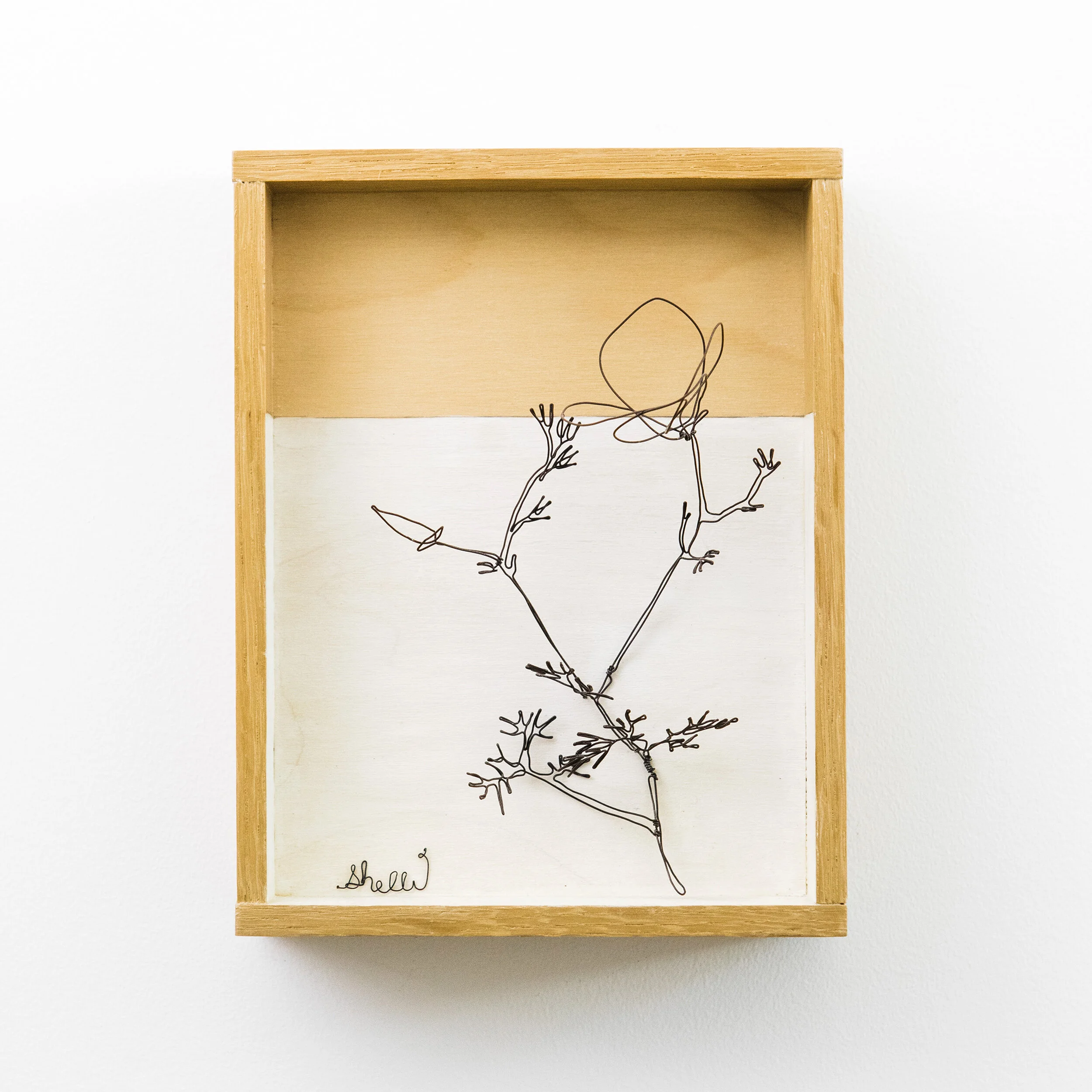 Framed California Poppy