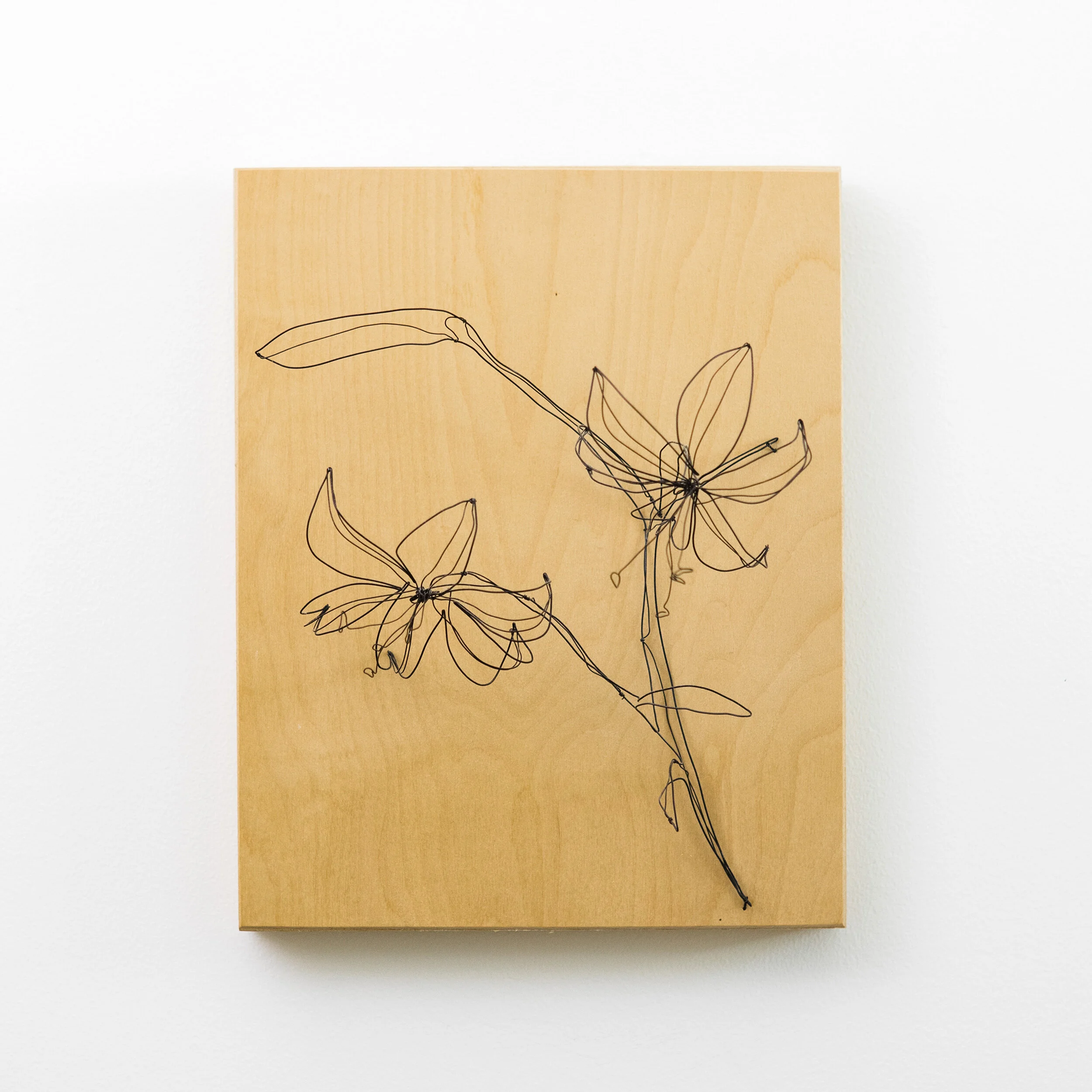 073_Wire Lily_2500.jpg