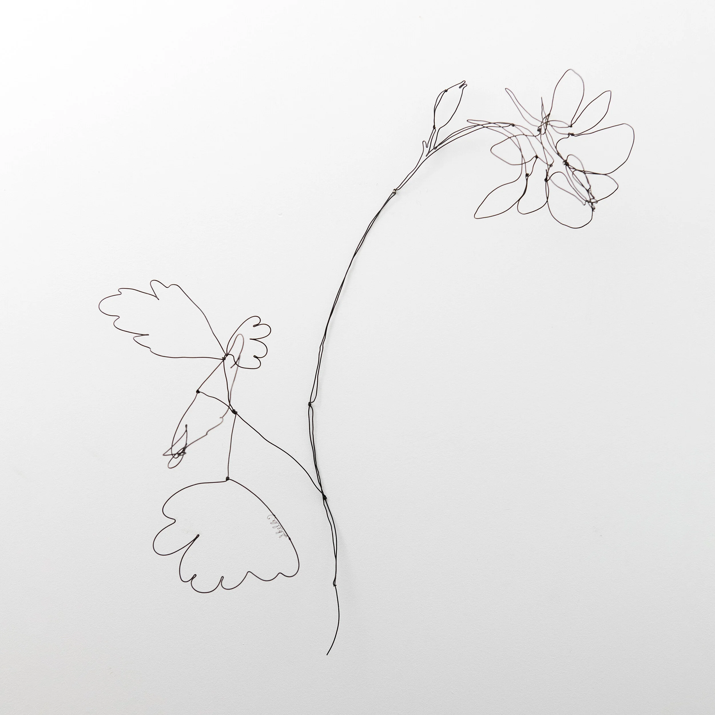 Columbine 30" x 14" $300.00 SOLD