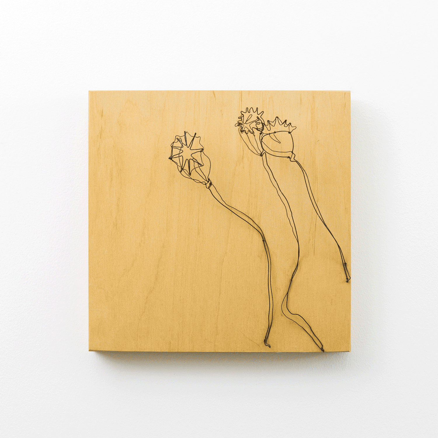 Poppy Pods 8" x 8" $200.00