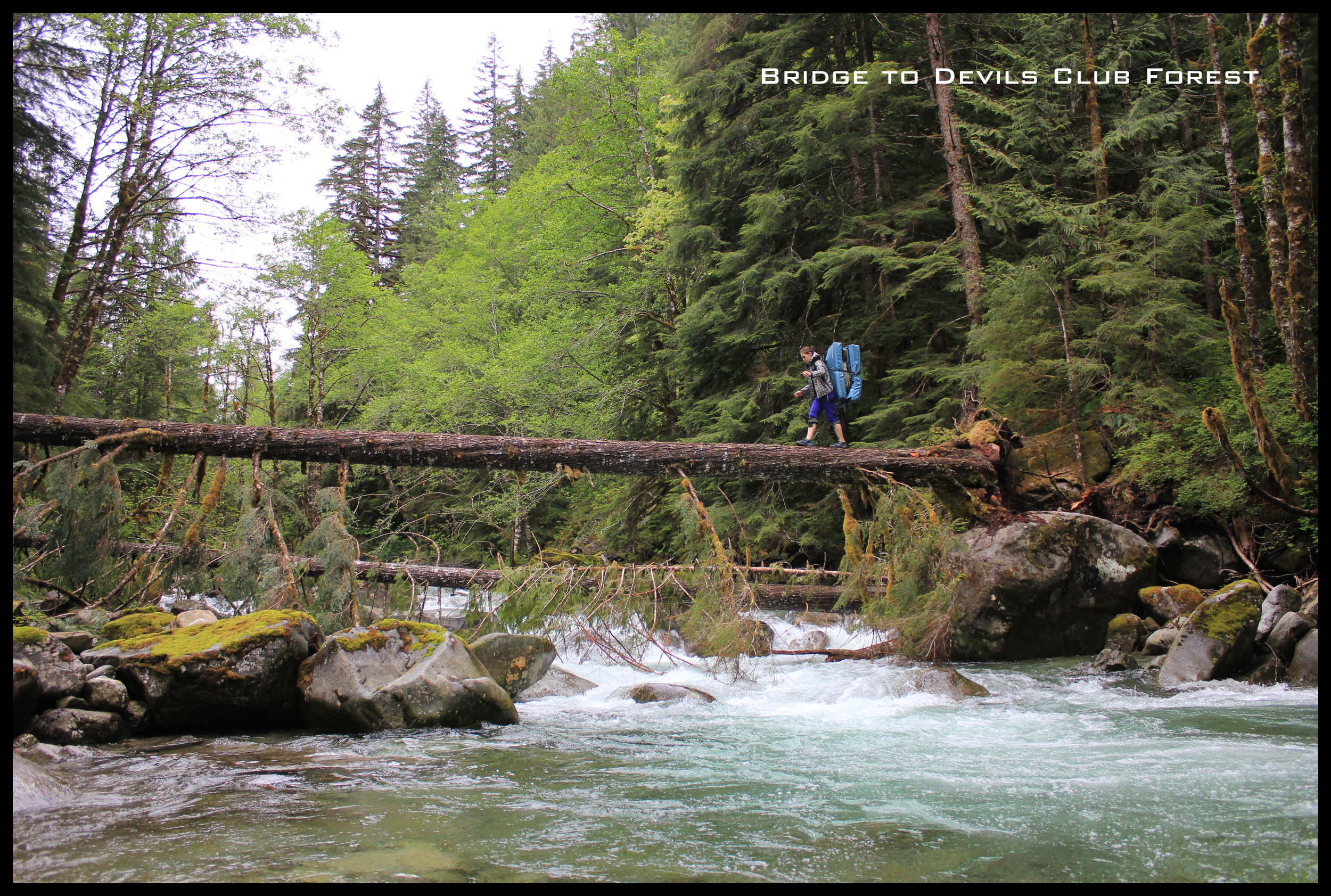 Audrea crossing the log bridge to Morphues. Later in the summer when water levels go down it is possible to cross on the rocks. Walking, crawling and not falling are great options for accessing this amazing climbing area.
