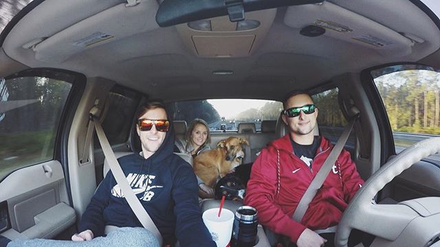 3 people, 2 dogs, 1 truck.