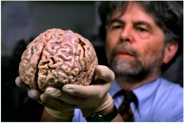 Image courtesy of University of Wisconsin-Madison, University Communications