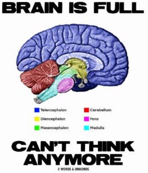 Image courtesy of Zazzle.com