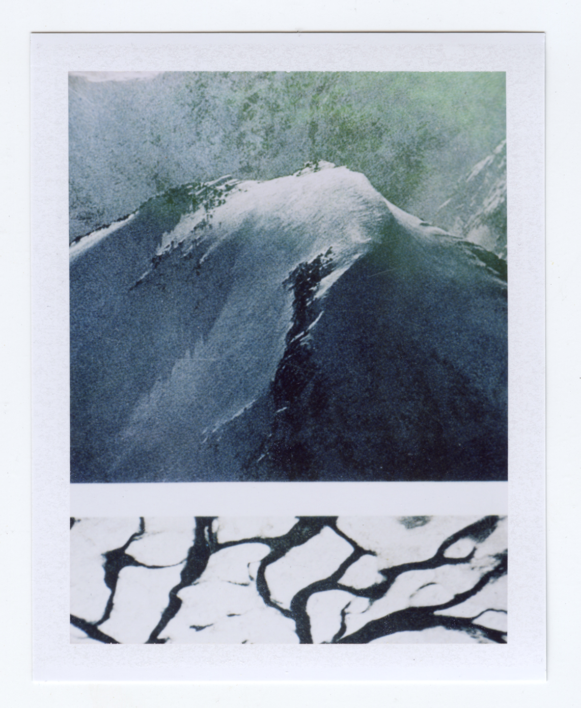   encountering our own fragility  Polaroid of found National Geographic, 2015   Statement + Info  