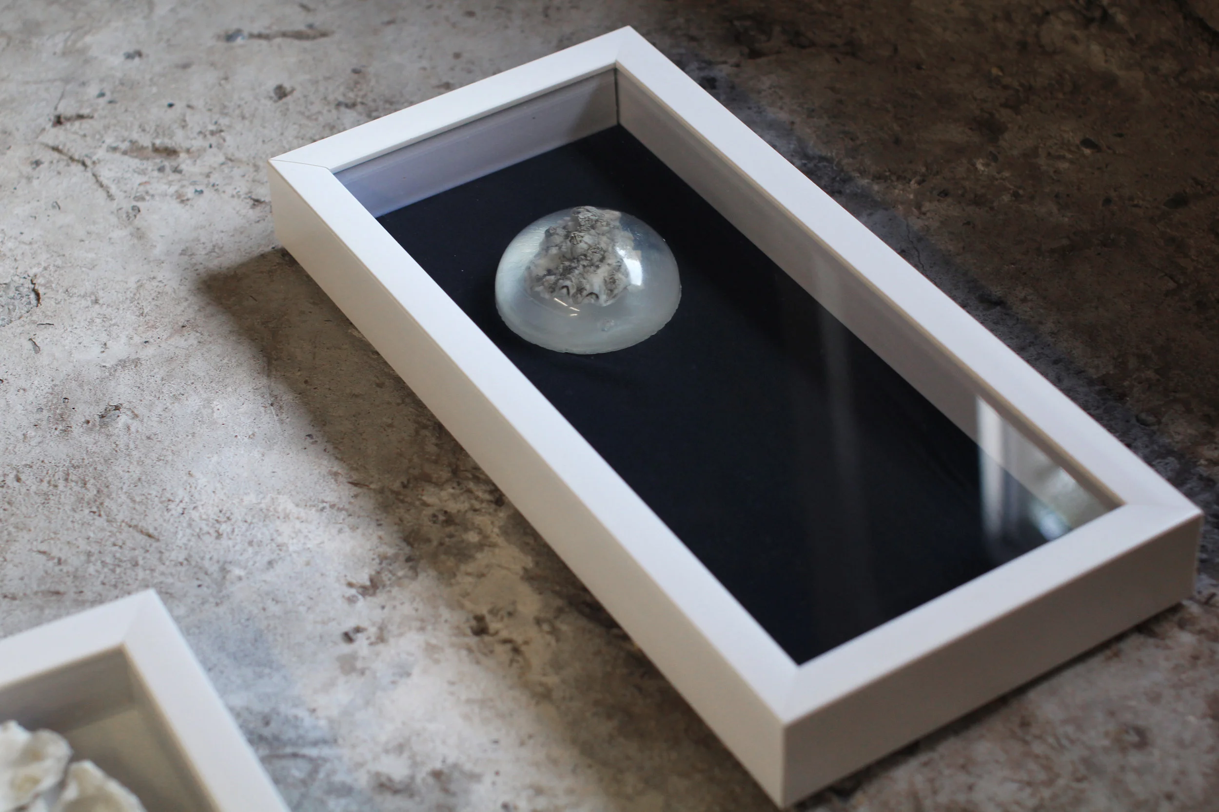 Listening in but never transmitting. oyster shell, resin, velvet, 2017 Work Statement + Info
