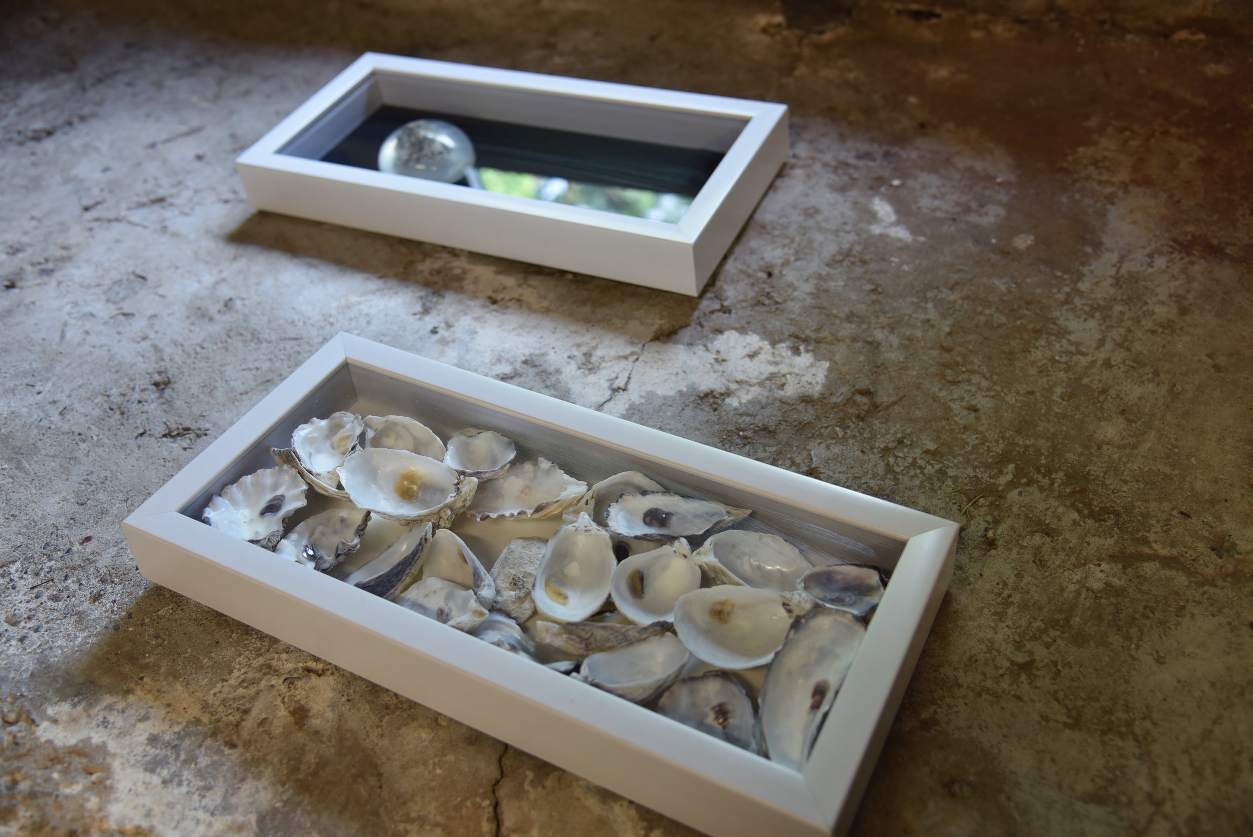   No one will get in but no one will get out.   oyster shells, 2017   Work Statement + Info  