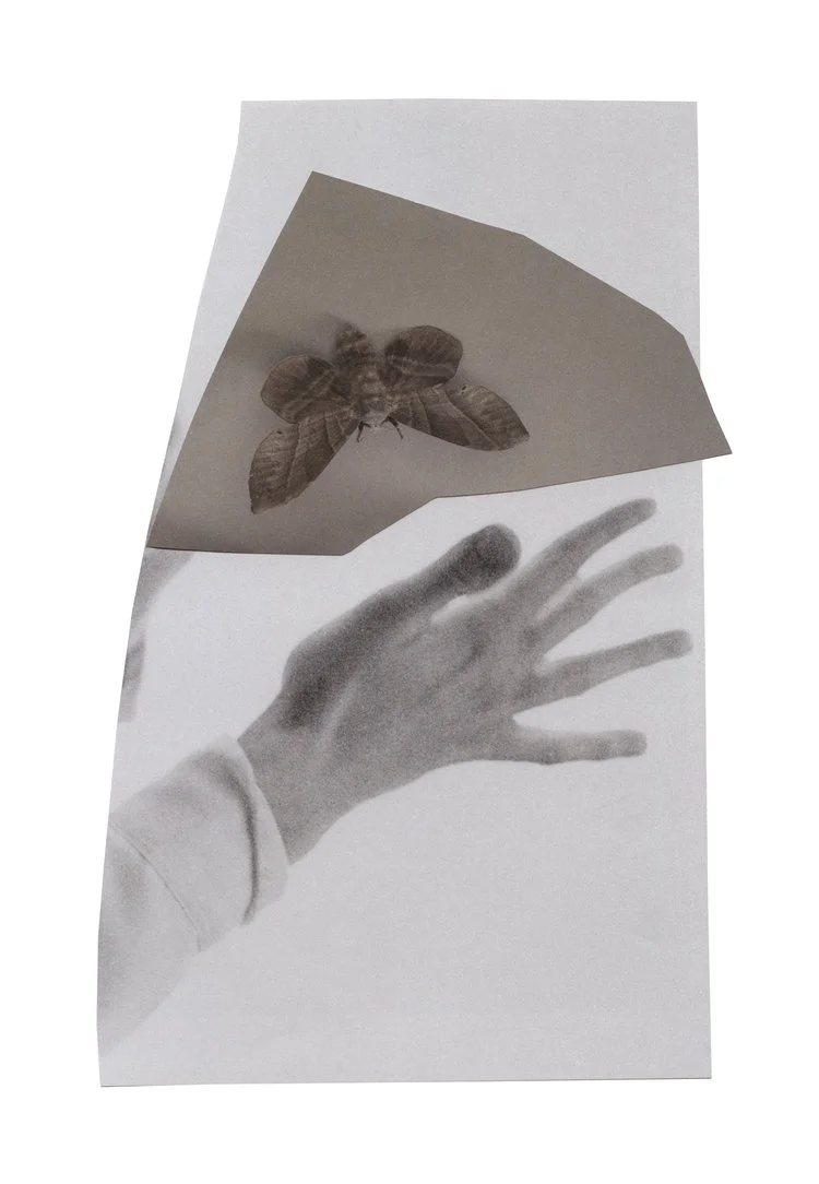 What feels like faltering is actually just a hover , 2017, collage on paper, 13"x17"