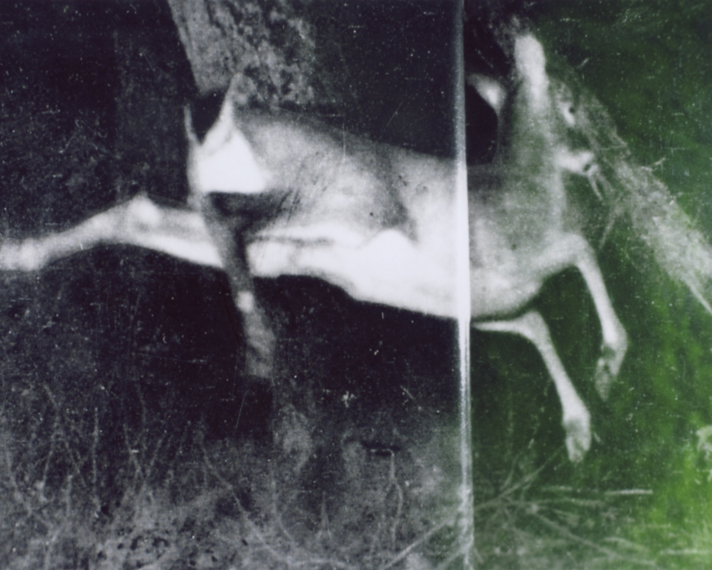   A wounded deer leaps the highest. (After Dickinson)  Photographic print of Polaroid negative, 2017, 15”x12” edition of 3   Statement + Info  
