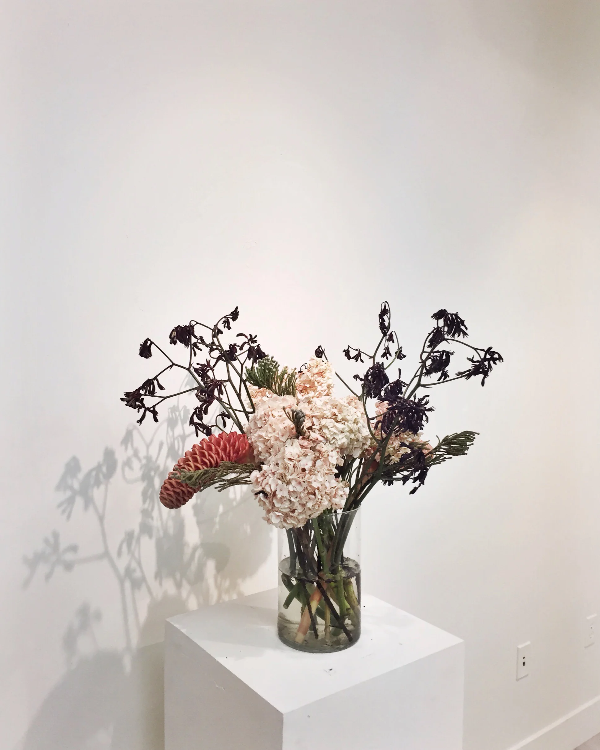 Collaborative Floral Installation Statement + Info
