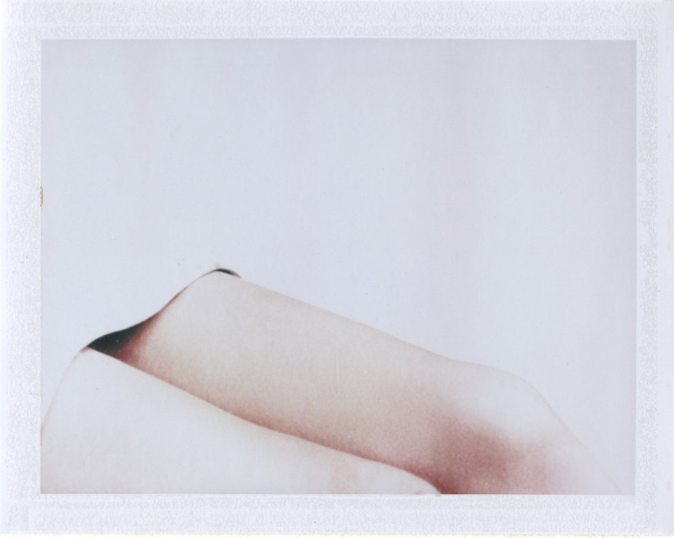   An elusive way  Instant film photograph, 2013   Info + Statement  