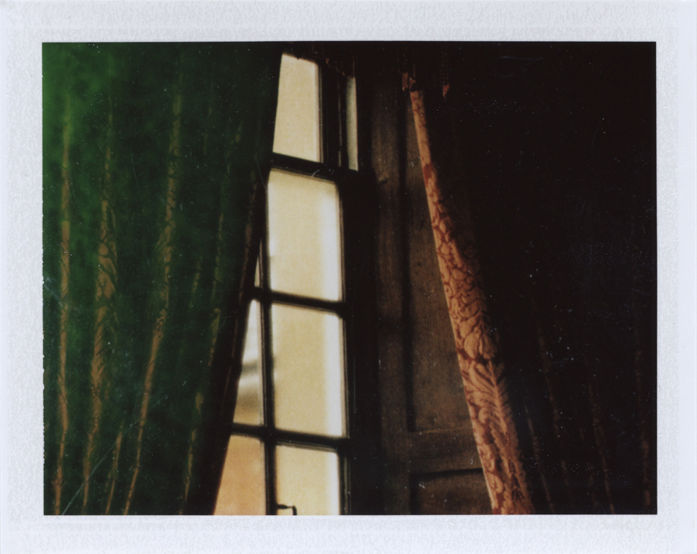   In the midst  Instant film photograph, 2013   Info + Statement  