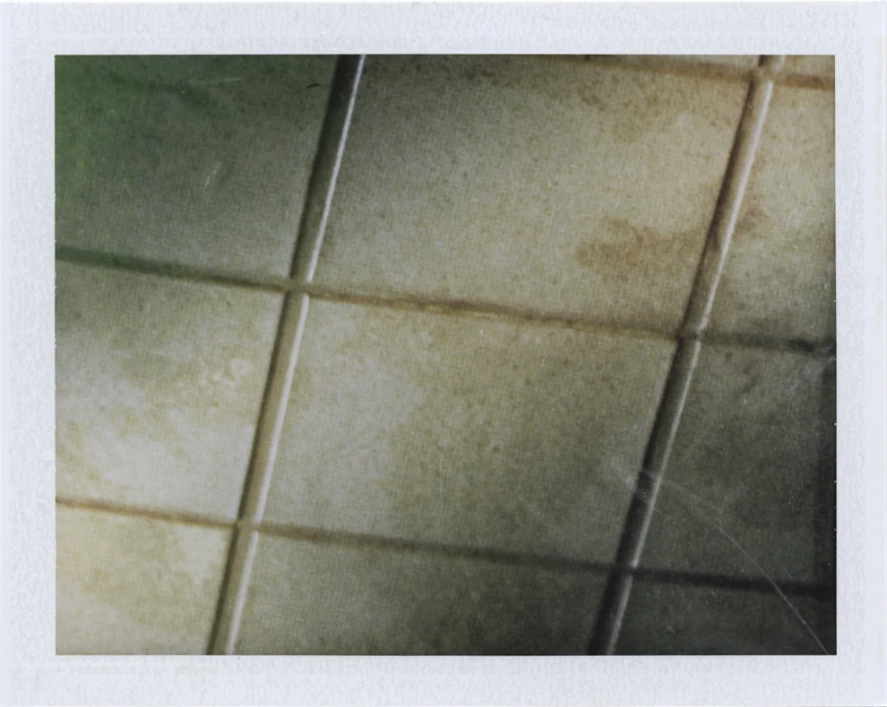 Highest highs and lowest lows Instant film photograph, 2013 Info + Statement