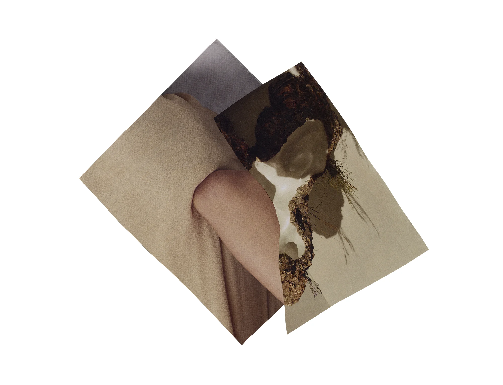 In a moment you are new. collage, 2017 Statement + Info