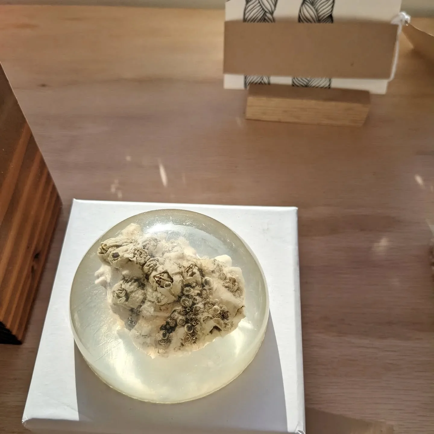 SOLD - Going through my studio archives and this little sweetie belongs on someone's bedside table or workspace, just sayin'

Good night island. Good luck world. resin, oyster shell